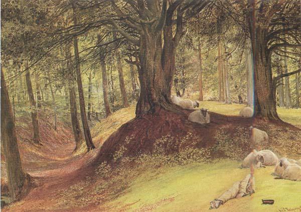 Richard Redgrave,RA Parkhurst Woods,Abinger (mk46) oil painting image